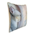 thumbnail image 2 of Kll The Cat Looks In The Mirror Decorative Throw Pillow Covers Velvet Soft For Couch Sofa Bedroom Living Room Outdoor -18"X18", 2 of 8