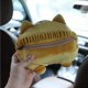 thumbnail image 4 of Caja de pañuelos CHAO con forma de trasero de perro de peluche para coche hogar baño dormitorio oficina, 4 of 5