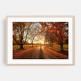 thumbnail image 2 of Autumn Sunset, Knox Farm 02 - East Aurora New York Photography Autumn Sunset Scenic Nature Landscape Woodland Rural Unframed Wall Art Print 4 x 6 inches, 2 of 7