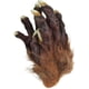 thumbnail image 3 of Werewolf gloves plush latex horror animal beast claws gloves, 3 of 4