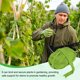 thumbnail image 5 of Uxcell 1-Pack Cuerda de Jardín, Cinta de Jardinería Elástica de 98 Pies para Plantas Trepadoras/Tomates/Árboles Frutales/Jardineros, Ataduras de Plantas de Tela Verde [Verde Hierba], 5 of 6