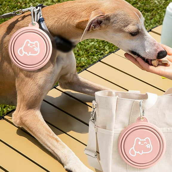 Portable Silicone Pet Travel Bowl for Dogs and Cats - Collapsible Food and Water Dish for Puppy Outdoor Camping Hiking Walking - Lightweight Foldable Feeding Bowl with Carabiner Clip