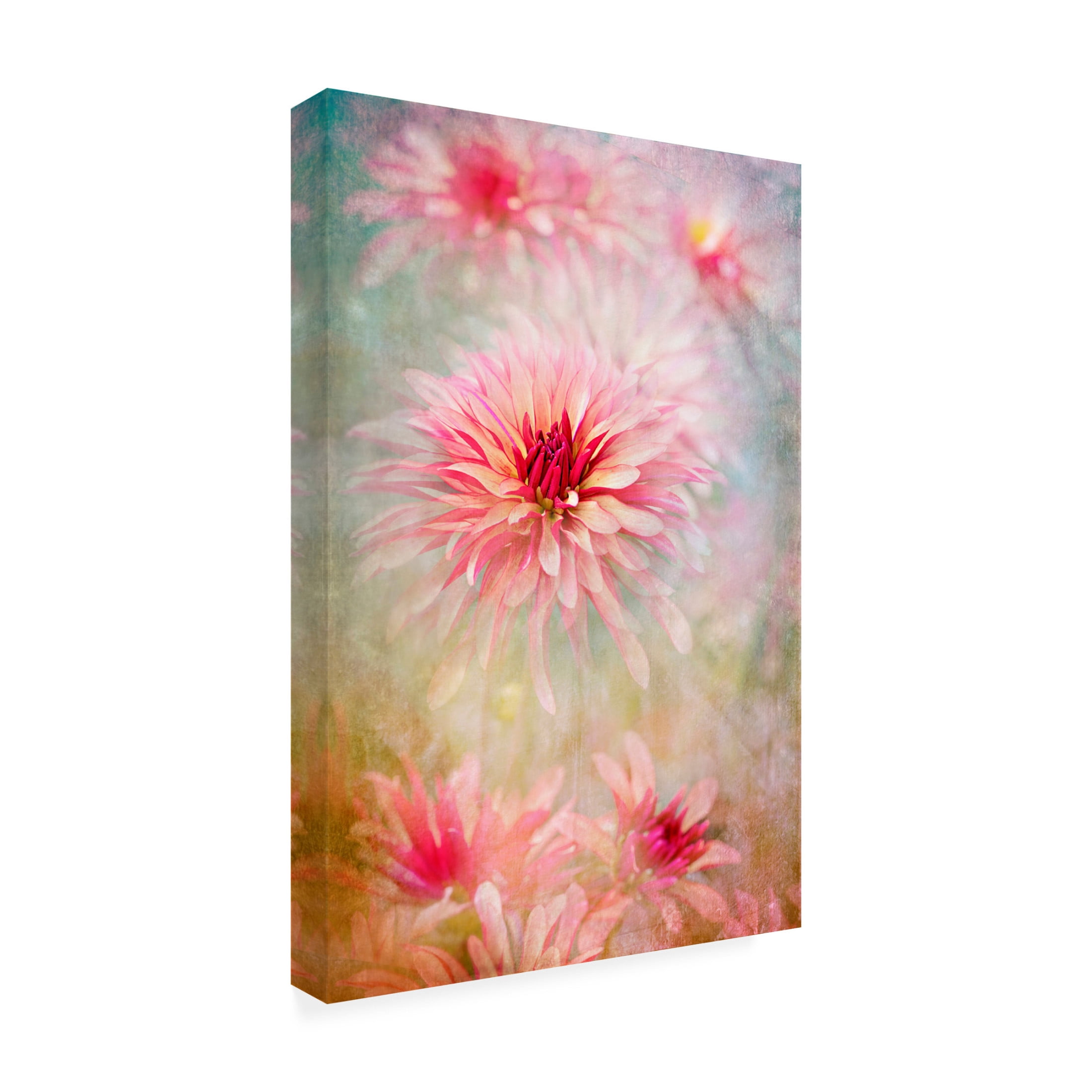Trademark Fine Art Jacky Parker Chic Canvas Wall Art
