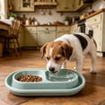 thumbnail image 5 of Cat Bowl with Moat Double Feeding Bowls for Cats and Small Dogs, 10.6 Inch Water and Food Dish Set, Anti-Ants Pet Feeder, Space-Saving Indoor Outdoor Use, 5 of 8