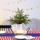 thumbnail image 5 of Tablecloth Flag Patriotic Table Cover Disposable Plastic Memorial Independence Day Decorations Holiday Party, Plastic Table Cover, Flag Design, 36x24 Inches, Waterproof, Easy Cleanup,, 5 of 7