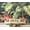 Color7, variant on Peel and Stick Wallpaper Canvas Tropical Palm Coral Tropical Leaves Palm Fronds Banana Leaves Foliage Modern Art Wall Mural Decor Self Adhesive and Removable 69in x 98in