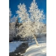 thumbnail image 2 of Jaynes Gallery 23x32 Gold Ornate Wood Framed with Double Matting Museum Art Print Titled - Alaska Stream and frosted trees in winter, 2 of 4