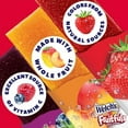 thumbnail image 5 of Welch’s Absolute Fruitfuls Fruit Strips, Tasty Dried Fruit Snacks for School Lunches, Mango Peach, 0.5oz (Pack of 10), 5 of 5