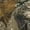 Realtree Edge Bundle, variant on Realtree Men's Long Sleeve Performance Camo Tee 2-Pack Bundle