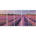 thumbnail image 2 of Lavender Flower Rows in France - Landscape Canvas Art Print, 2 of 3