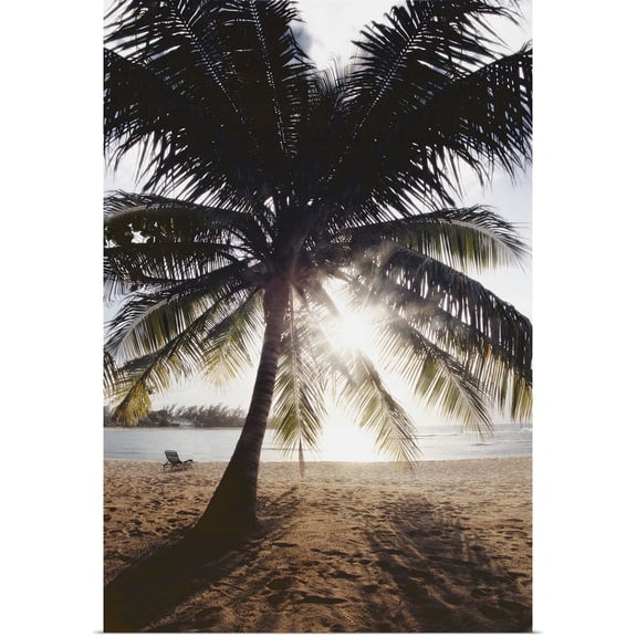Great BIG Canvas | "View Of Ocean And Beach Through Palm Tree, Caribbean" Art Print - 32x48