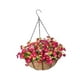 thumbnail image 4 of Cesta de flores artificiales, planta colgante falsa, decoración para colgar , maceta con cadena DIY para hogar, porche, balcón, exterior e Rosa, 4 of 8