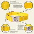 thumbnail image 4 of Country Brook Petz® Premium Nylon Dog Collar with Metal Buckle for Small Medium Large Breeds (Medium, 3/4 Inch, Yellow), 4 of 6