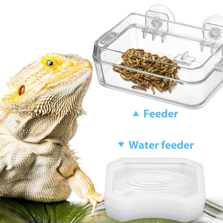 Cat proof bearded dragon cage cheap