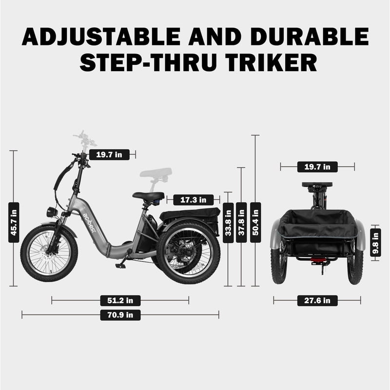 ACTBEST Electric Tricycle for Adults, 750W Motor 48V 15.6Ah Battery, 20" x 3.0" Fat Tire 3-Wheel Electric Bicycle, 7-Speed Step-Thru Electric Trike with Dual Suspension (Gray) with Mirror
