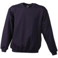 thumbnail image 1 of James and Nicholson - Sudadera infantil de cuello redondo para niños niñas (Berenjena), 1 of 2