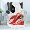 thumbnail image 4 of Food Soft Flannel Fleece Throw Blanket, Hand Drawn Watercolor Illustration of Chili Pepper Spicy Ingredient, Cozy Plush for Indoor and Outdoor Use, 70" x 90", Fern Green Vermilion, by Ambesonne, 4 of 5