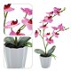 thumbnail image 4 of Flor falsa phalaenopsis bonsái de escritorio, pequeña planta de decoración, flor artificial, planta verde artificial, 4 of 5