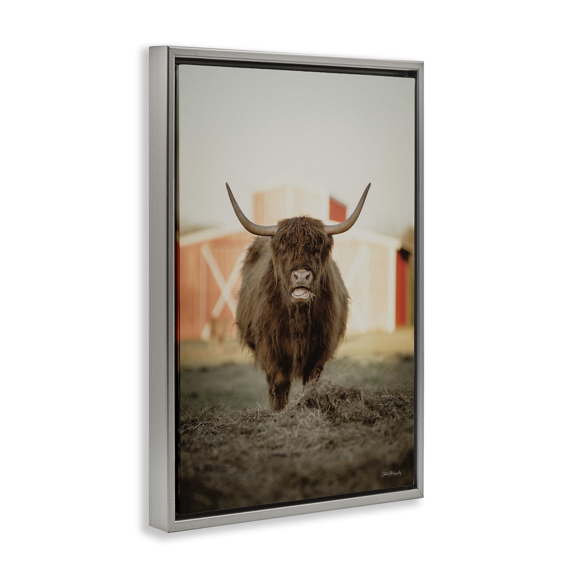 Stupell Industries Cattle on Farm Field Animals & Insects Photography Gray Floater Framed Canvas Art Print Wall Art, 17 x 25