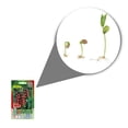thumbnail image 2 of Semillas Jitomate Cereza Vita, 2 of 5