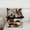 Brown 172, variant on jejeloiu Brown Texas Stars Full Size Comforter Sets,Old Barn Door Bedding Comforter Set,Retro Farm Lodge Bedding Sets,Microfiber Bedroom Decoration Reversible,3pcs