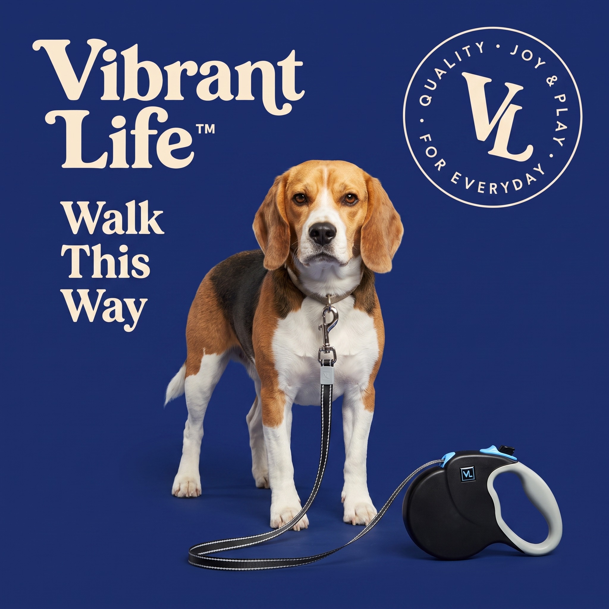 Vibrant Life 13-Foot Reflective Retractable Tape Leash, Black, Medium photo 2