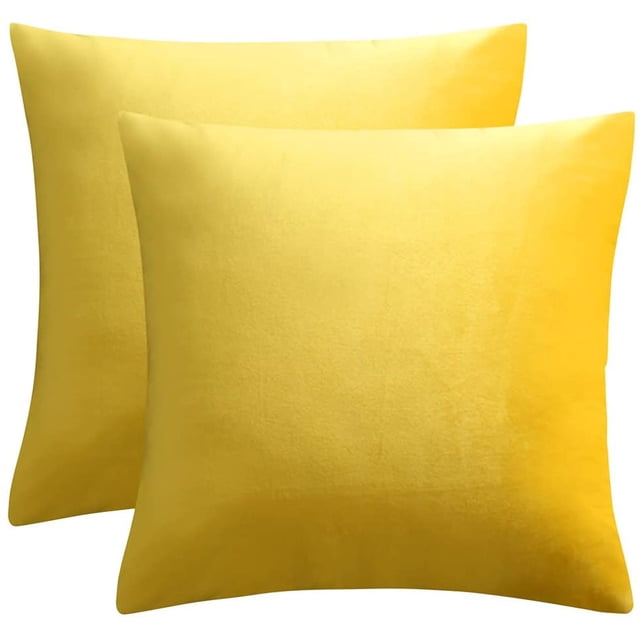 Fundas de cojín decorativas de terciopelo lumbar, paquete de 2 fundas de cojín sólidas suaves de lujo para sofá Namotu CZJJ-ZC22-12