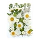 thumbnail image 1 of Flores Secas para Resina, Seco Y en Relieve Kit de Flores 14.5x10.5cm para Velas Artesanías Diy Joyería Decoración Del Hogar, Navidad Kits de Artesanía para Moldes de Resina Fabricación de Velas, 1 of 1