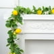 thumbnail image 5 of Guirnalda artificial de hoja de olivo | 200cm 78.74in Hojas de imitación de PVC verde con anillo de fruta para arco de boda, hogar, fiesta y decoración navideña | Planta de simulación de suspensión, 5 of 8