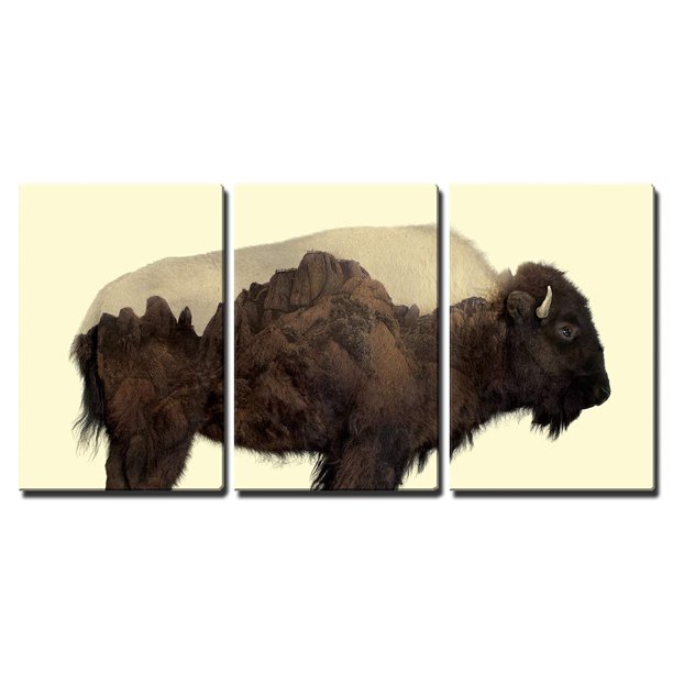 slap af vidne Distribuere wall26 Buffalo and The Rocky Mountains - Canvas Art Wall Decor - 24"x36" -  Walmart.com