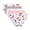 Teddy Bears, variant on Princess Rose Toddler Girls Underwear Pointelle Knit Soft Cotton Hipster Underwear Panties 5 Pack
