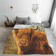 thumbnail image 5 of Honeii Yak Print Fleece Blanket - Throw Blanket for Bed, Sofa, Couch, Camping, and Travel , Microplush Ultra Soft Warm Blanket-50"x40", 5 of 7