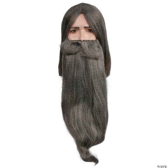Men's Wizard Wig & Beard Set