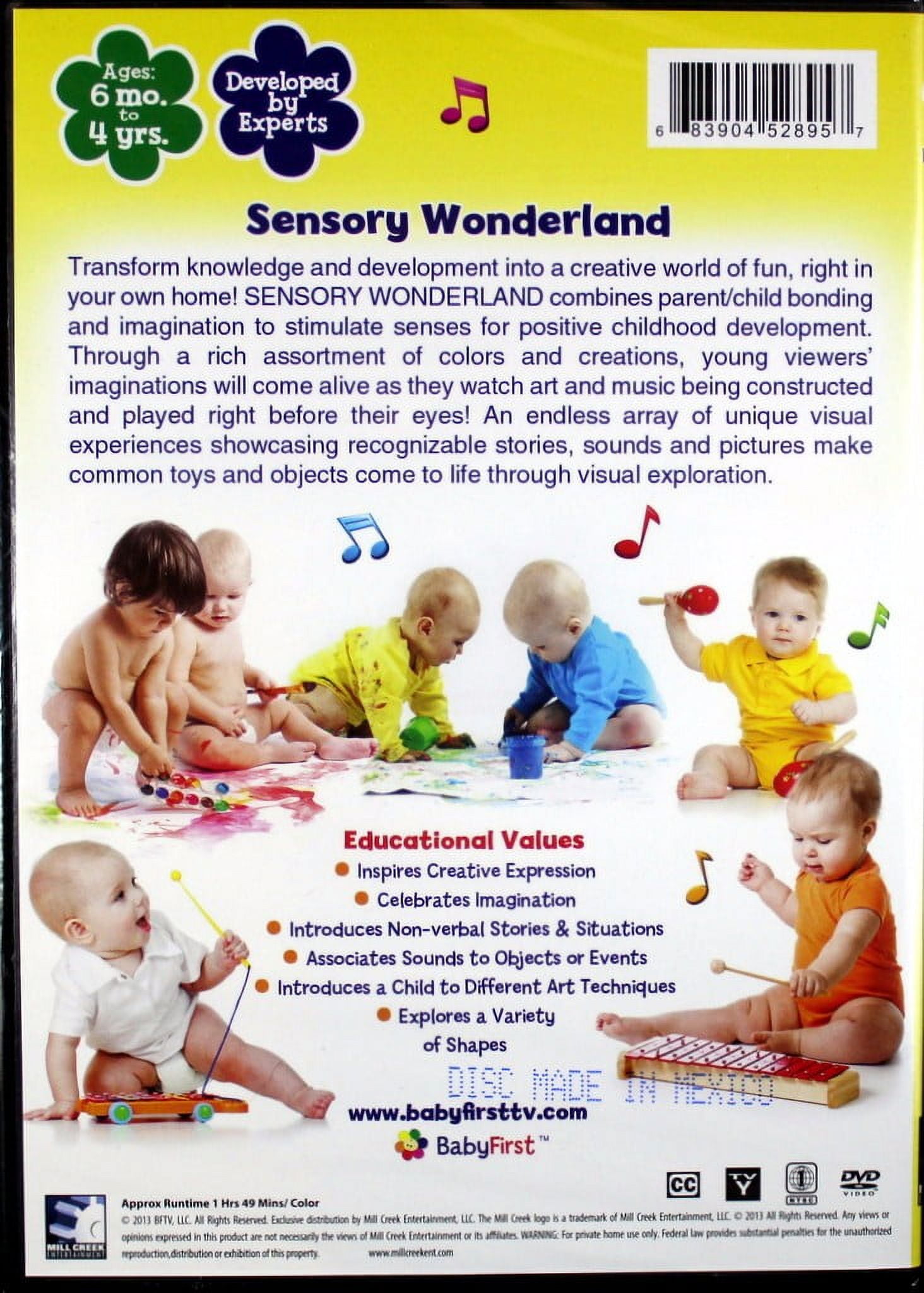 BabyFirst: Art & Music: Sensory Wonderland (DVD) - Walmart.com