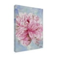 thumbnail image 4 of Trademark Fine Art "Pink Peonie II" Canvas Art by Li Bo, 4 of 4