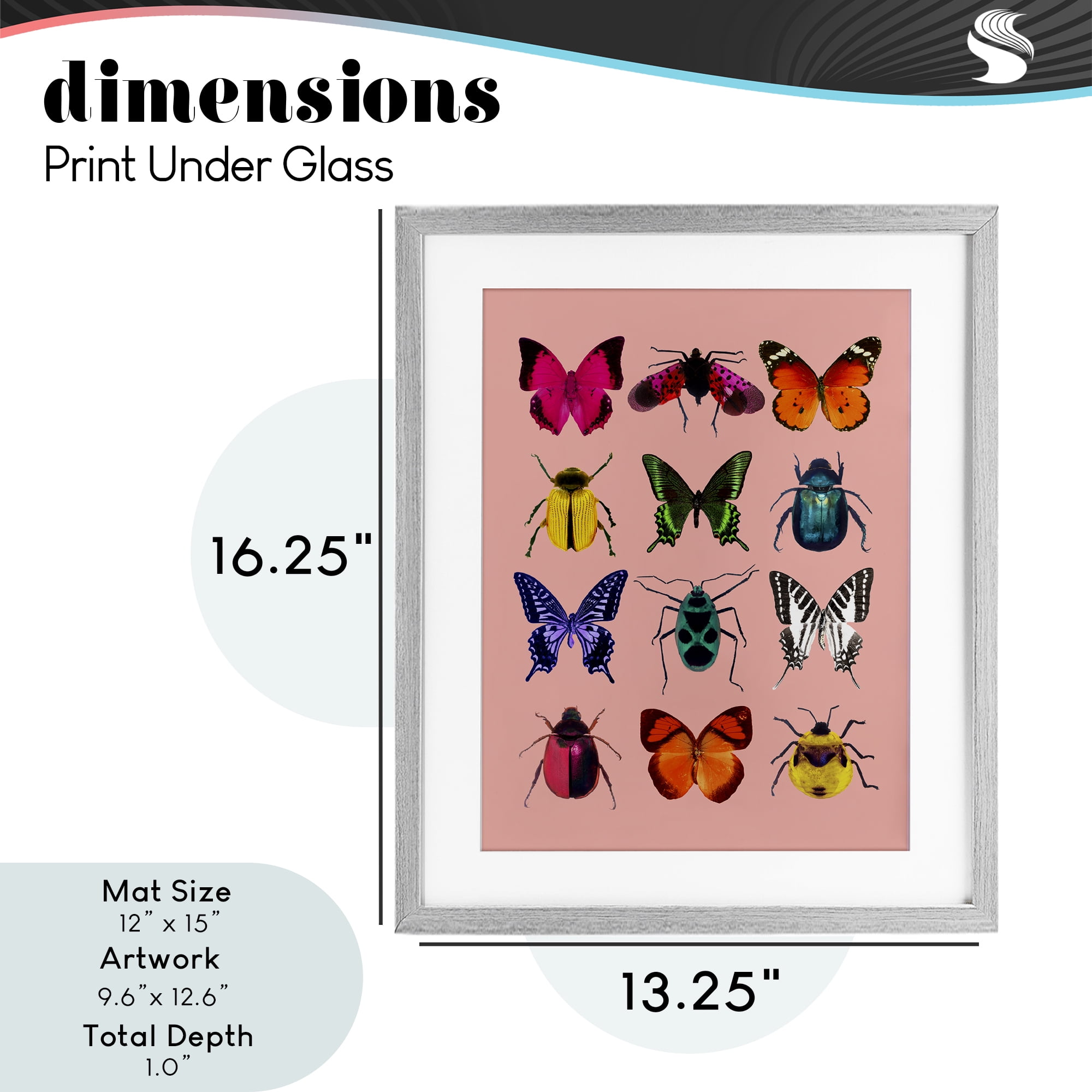 Colorful Bug Species on Pink Gray Framed Print Under Glass, design by LISH Creative