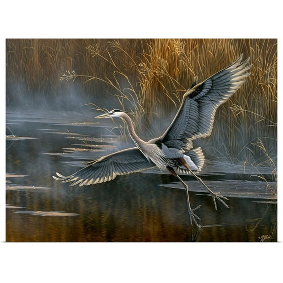 Great BIG Canvas | Rolled Wilhelm Goebel Poster Print entitled Misty Flight