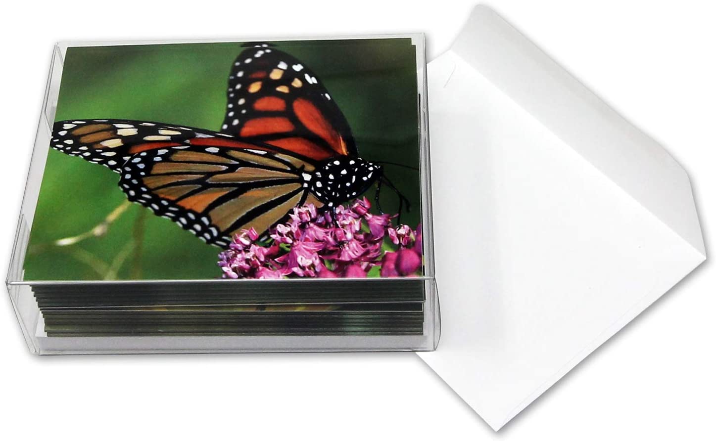 Greeting Cards 6 Monarch Butterfly blank cards Paper etna.com.pe