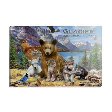 

Glacier National Park Montana Animals Bear Eagle Deer Bobcat Wolf Rectangle Acrylic Fridge Refrigerator Magnet