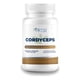 thumbnail image 1 of Cordyceps 500mg - 100 Cápsulas Por Frasco Sin Sabor, 1 of 8