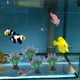 thumbnail image 3 of unbranded 20Ud Artificiales Para De Peces Con Material Plástico Y Apariencia Natural, 3 of 6