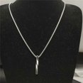 thumbnail image 3 of Twisted Bar Long Pendant Keepsake Necklace Keepsake Memorial Gifts for Women-2025, 3 of 5