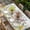 White Light Pink, variant on Spring Floral Table Cloths for 4 Foot Rectangle Tables, Watercolor Flower Eucalyptus Leaves Botanical Patio Waterproof Elastic Fitted Tablecloths, Washable Rectangular Table Cover for Camping