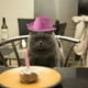 thumbnail image 4 of Sombrero de vaquero para mascotas, para gatos y perros, decoración para fiestas, 4 of 8