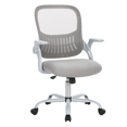 thumbnail image 1 of edx Ergonomic Office Desk Chair, Mesh Cover with Flip up Arms, Lumbar Support for Home Office, Grey, 1 of 8