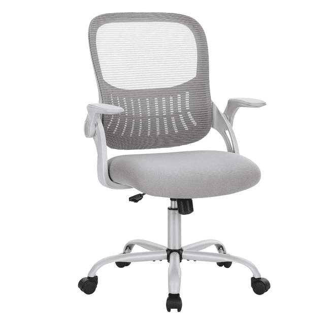 edx Ergonomic Office Desk Chair, Mesh Cover with Flip up Arms, Lumbar Support for Home Office, Grey