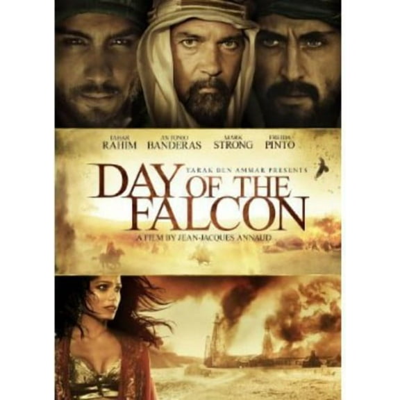 Image Entertainment - Day of the Falcon [DIGITAL VIDEO DISC]