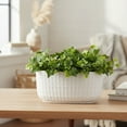 thumbnail image 3 of Jewel Ceramic Low Oval Pot with Embossed Lattice Design, 3 of 9