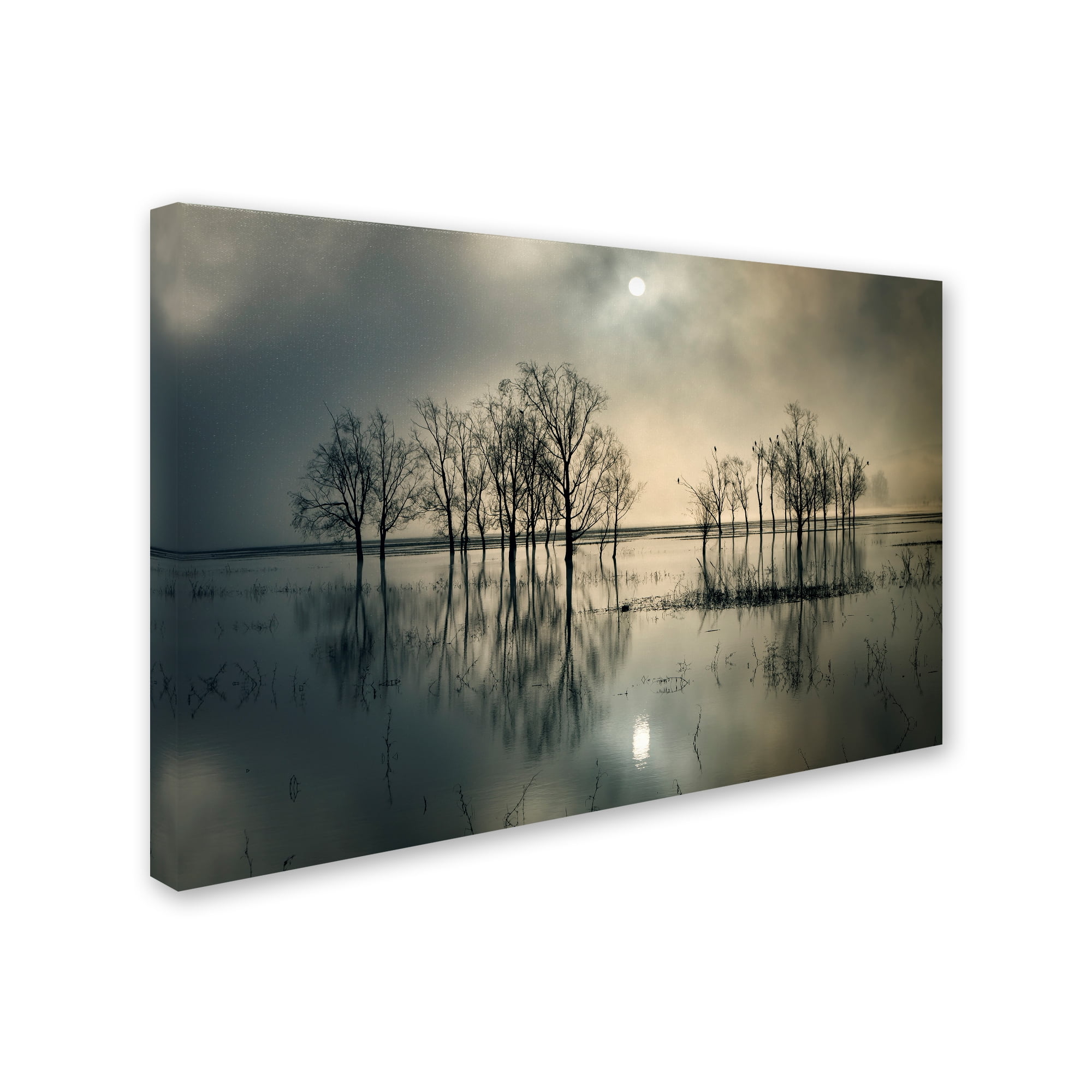 Trademark Fine Art 'LakeS Secret' Canvas Art by Joanne_Flj