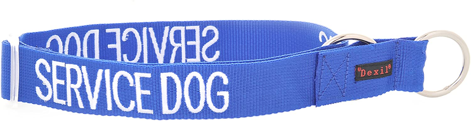 color coded dog leashes